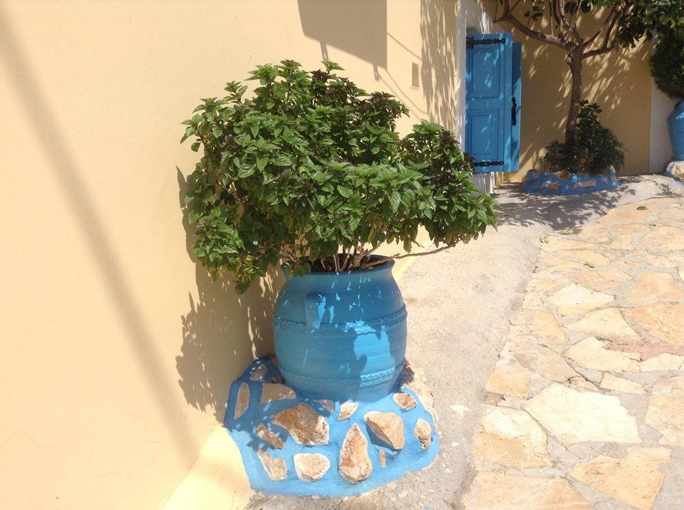 Villa Efraim Amalia Χάλκη Εξωτερικό φωτογραφία